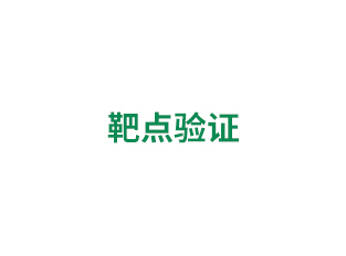 靶點(diǎn)驗(yàn)證