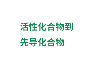活性化合物到先導(dǎo)化合...